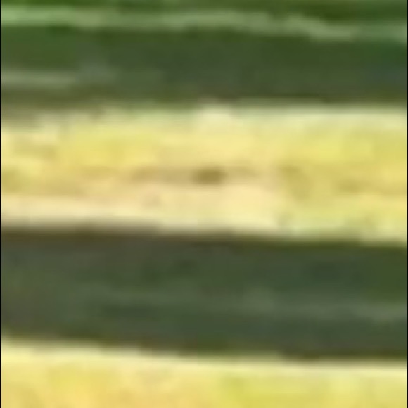 Meet your Posher, Andrew - Picture 1 of 1